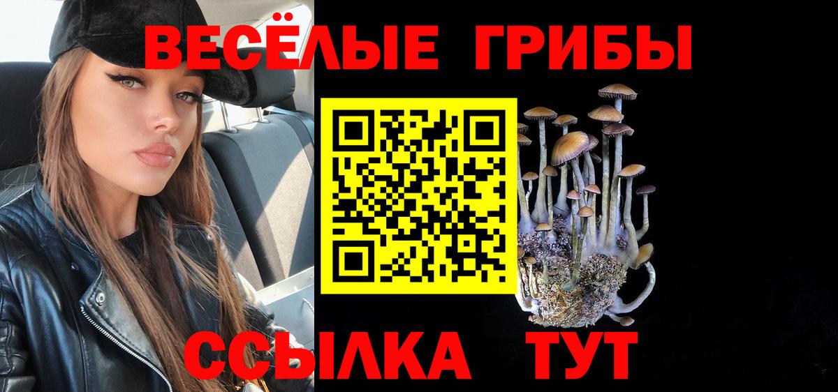 Псилоцибиновые грибы ЛСД  Вход с VPN  где найти наркотики  Псилоцибиновые грибы прущие грибы  Сердобск 